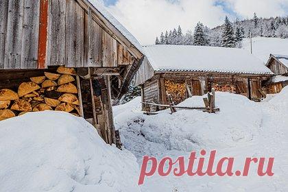 Мэр украинского города призвал жителей многоэтажек перезимовать в селах. Мэр украинского города Ивано-Франковска Руслан Марцинкив рекомендует жителям многоквартирных домов перебраться на зиму в села. Он считает, что ситуация с перебоями подачи электроэнергии по всей территории Украины будет только усугубляться, и проживание в многоэтажках будет просто невозможным.