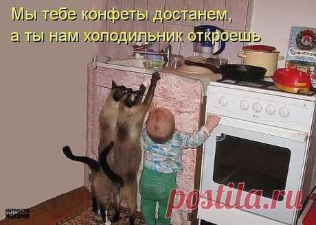Новости