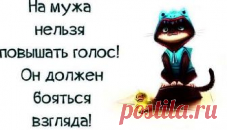 22 истины в веселых картинках, которые оценит каждая женщина Жизнь современной женщины — разнообразна. Работа, муж, дети, заботы, развлечения, шопинг, быт, усталость, подруги, любовь — перечислять составляющие можно до бесконечности. Все это напоминает калейдос…