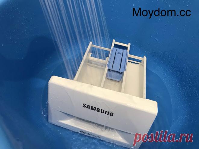 Как легко и просто отмыть лоток стиральной машины — Милый Дом