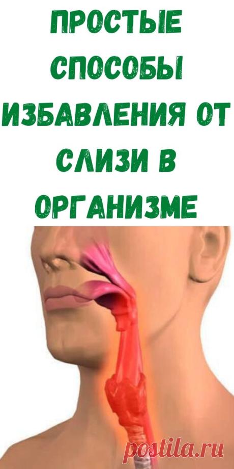 Простые способы избавления от слизи в организме - Рецепты вкусных блюд