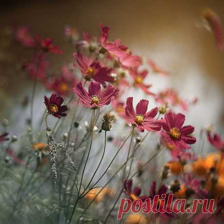 35PHOTO - Сергій Козачук - Без названия