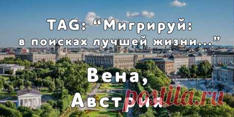 TAG: «Мигрируй в поисках лучшей жизни» в г. Вена, Австрия - Мигрируй