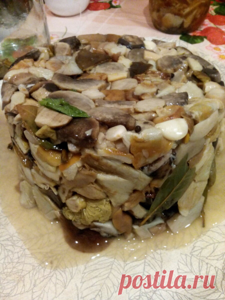 Рецепт самых вкусных солёных грибов. Попробуйте сделать и всегда будете мне говорить спасибо | Брусничка | Яндекс Дзен