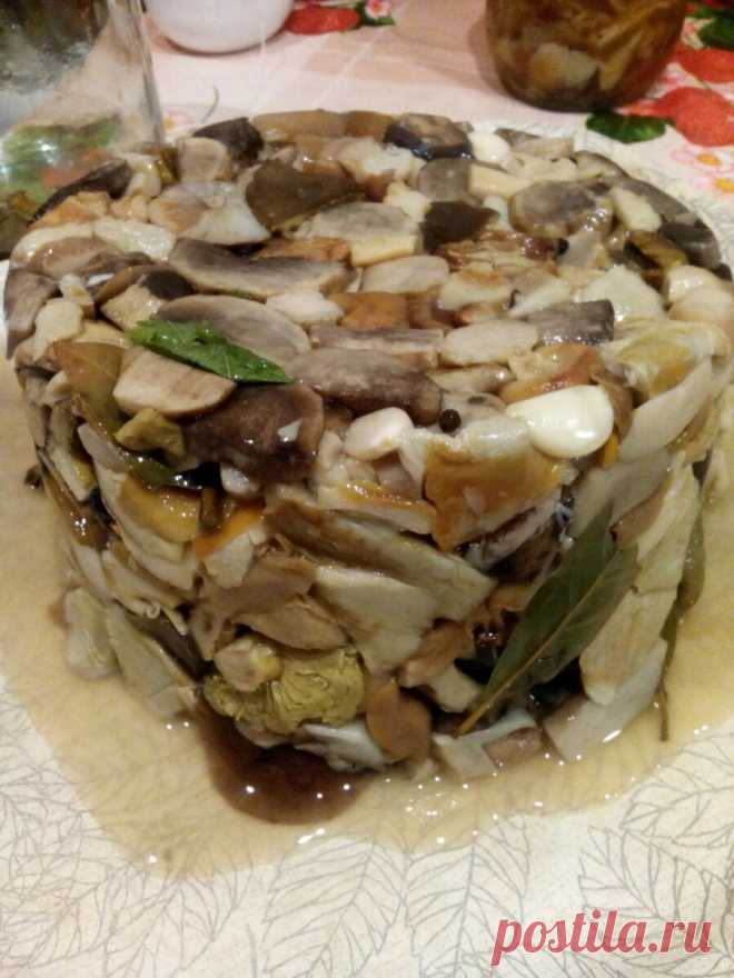 Рецепт самых вкусных солёных грибов. Попробуйте сделать и всегда будете мне говорить спасибо | Брусничка | Яндекс Дзен