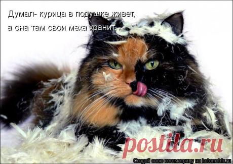 Ошибся маленько