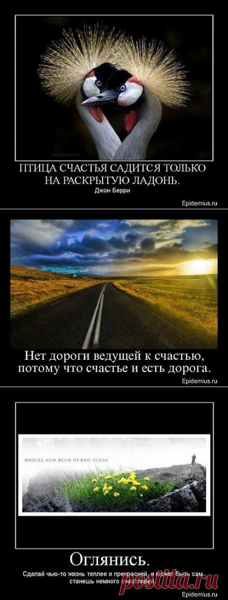 Птица счастья садится только на раскрытую ладонь. (Джон Берри). Демотиваторы про счастье.