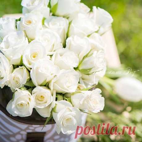 Счастье – это твой путь, твои мысли и твои мечты..

Будьте счастливы!..