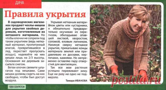 Правила укрытия