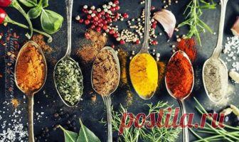 ПАМЯТКА ПО СПЕЦИЯМ: КУДА ЧТО ДОБАВЛЯТЬ. СОХРАНИ