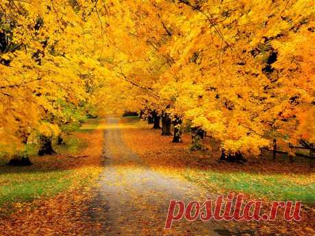 Фотографии на стене сообщества – 65 782 фотографии | ВКонтакте