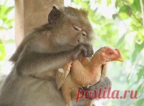 ТЕРРА. ЗЕМЛЯ СЛАВЯНСКАЯ. – Александр Богуславский добавил 2 фотографии в альбом Украина, куда идёшь?