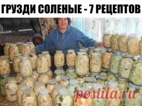 ГРУЗДИ СОЛЕНЫЕ - 7 РЕЦЕПТОВ
1. ГРУЗДИ СОЛЕНЫЕ БЕЗ ДОБАВЛЕНИЯ СПЕЦИЙ
Для того чтобы приготовить грузди по этому старому и простому рецепту, нужно взять:
Соль крупная, можно обычная - 250 грамм;
Грузди - 5 килограмм вымоченных грибов;
Собранные вами грузди нужно сначала хорошо почистить, убрать все места, которые вам кажутся подозрительными. Червивые участки нужно срезать, а также не оставлять те места, в которые есть проколы от хвои. После нужно отрезать у каждого гриба и немного нижней части
