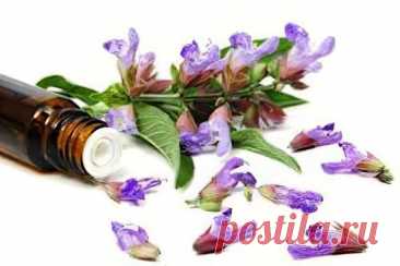 Лечение шалфеем.