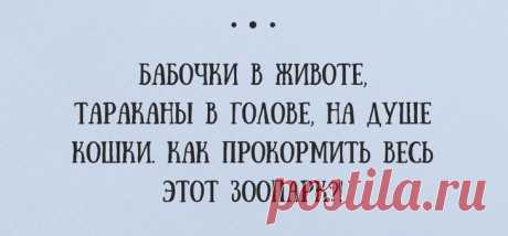 20 открыток о нашей весёлой жизни