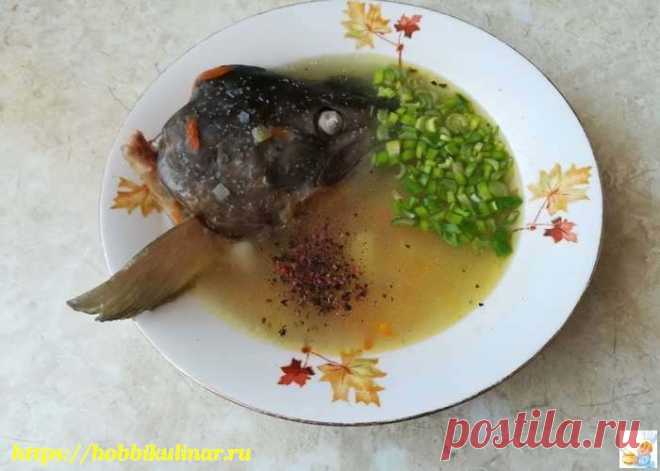 Рыбный суп из головы и хвоста — очень вкусный домашний рецепт