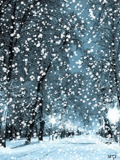 1104857.gif (240×320)