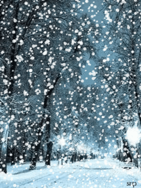 1104857.gif (240×320)