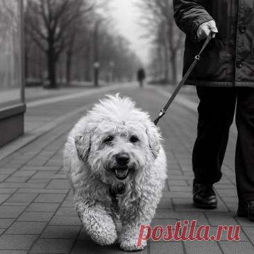 Внучок - OGADANIE.RU