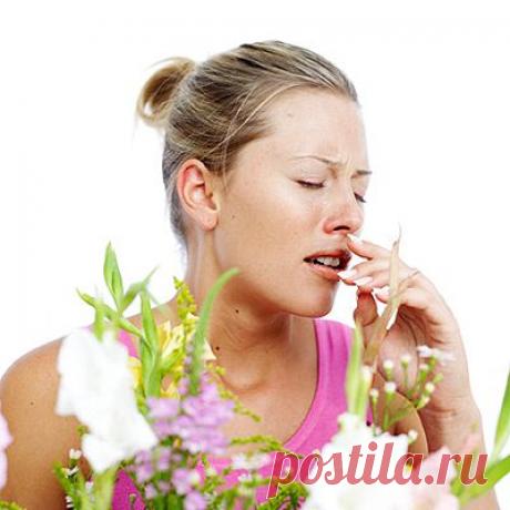 Народные рецепты лечения аллергии | Народная медицина