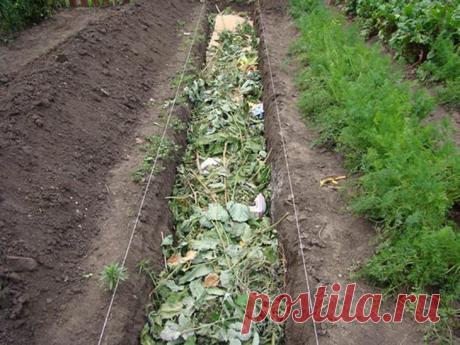 Грядки своими руками — виды и особенности грядок