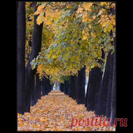 Фотографія ..еще один коридор / Дмитрий Домбровский / photographers.ua