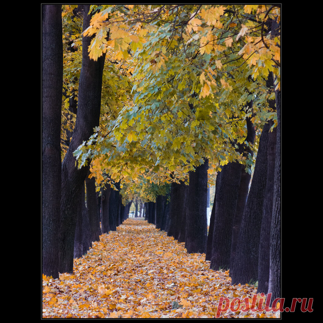Фотографія ..еще один коридор / Дмитрий Домбровский / photographers.ua