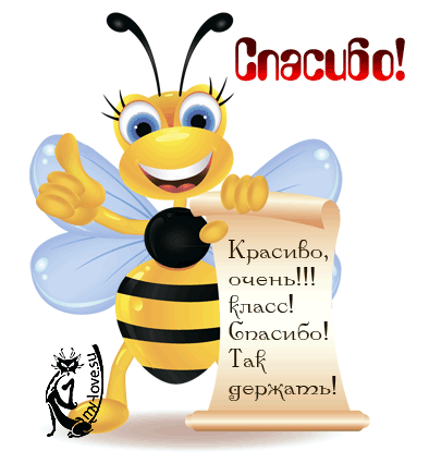Картинки, открытки, анимация, со словами - Спасибо, Благодарю, со словами восхищения,  - Картинки Открытки My-love