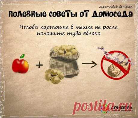 Хозяйке на заметку. | ДОМАШНИЙ ОЧАГ