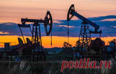 Отходы нефтедобычи предложили использовать в обустройстве зеленой кровли. За счет низкой плотности смеси техногенного грунта ученым удалось до 30% снизить ее вес