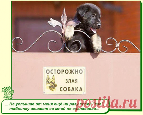 Хорошего Вам настроения.