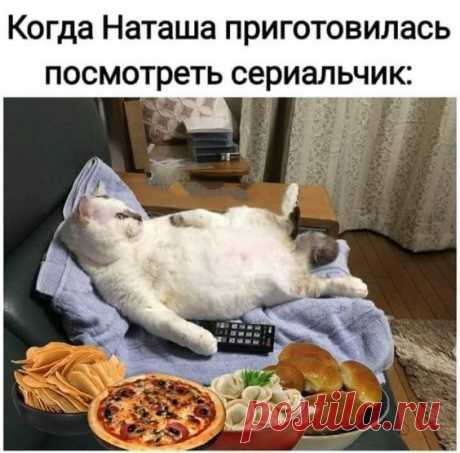 (6) Pinterest
