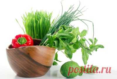 Топ 7 продуктов с высоким содержанием щелочи