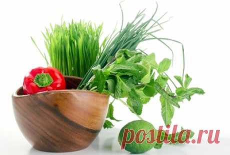 Топ 7 продуктов с высоким содержанием щелочи
