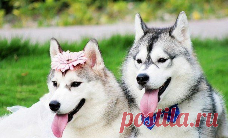Новости