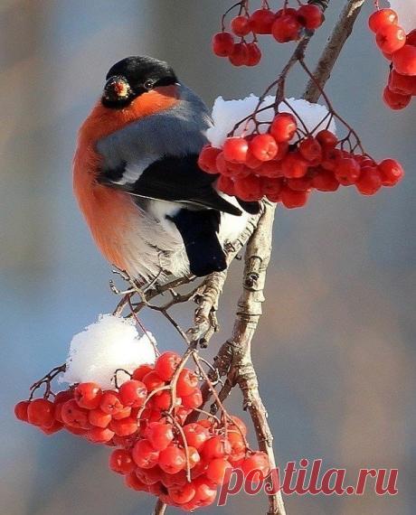 Какая красота!