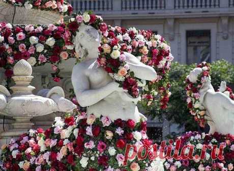 Новости Фестиваль роз в Лионе