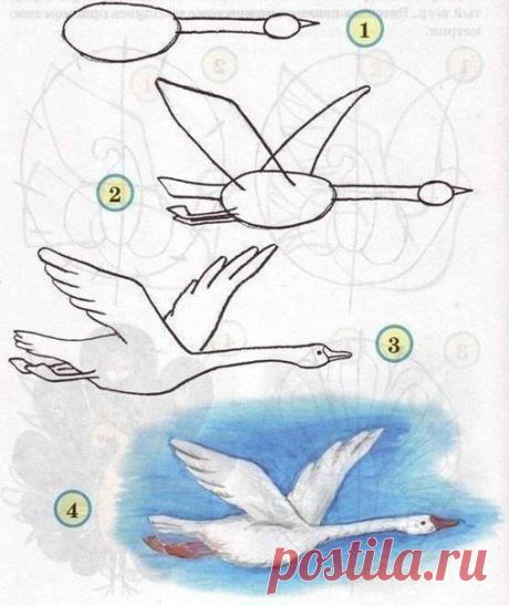 Учим детей рисовать птичек