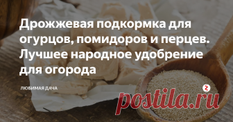Дрожжевая подкормка для огурцов, помидоров и перцев. Лучшее народное удобрение для огорода Одним из сильных удобрений я все же считаю -  дрожжи. Эту подкормку применяю абсолютно для всех растений. Не важно будут ли это растения комнатные или в огороде. «Спасибо» скажут деревья, виноград и кустарники.
Дрожжи - это комплексное удобрение! Все огородники, кто хоть раз попробовал дрожжи в качестве удобрения, не остались равнодушными к полученным результатам урожая.
Природа позаботилась, чтоб