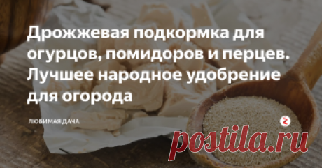 Дрожжевая подкормка для огурцов, помидоров и перцев. Лучшее народное удобрение для огорода Одним из сильных удобрений я все же считаю -  дрожжи. Эту подкормку применяю абсолютно для всех растений. Не важно будут ли это растения комнатные или в огороде. «Спасибо» скажут деревья, виноград и кустарники.
Дрожжи - это комплексное удобрение! Все огородники, кто хоть раз попробовал дрожжи в качестве удобрения, не остались равнодушными к полученным результатам урожая.
Природа позаботилась, чтоб