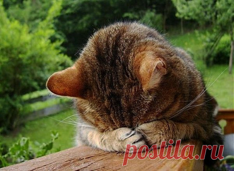 Мой Мир@Mail.Ru