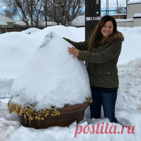 Our downtown pots look like giant snowcones!!! 🍧 There's a cone boxwood under all that snow! 🌲❄️