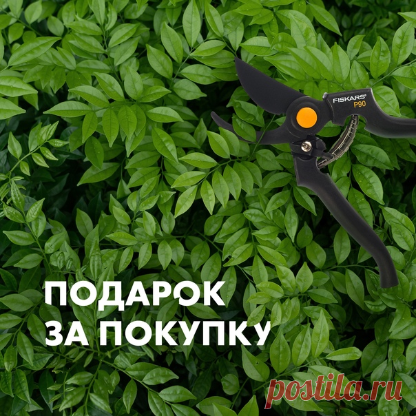 Хороших инструментов много не бывает! Тем более на даче 😉 Давно хотели новые грабли, секатор, топор? А может, вам нужен удалитель сорняков? Вилы или тяпка? Купите инструменты Fiskars на 7000 руб. и получите подарок – штыковую укороченную лопату FISKARS SolidTM 🎁 🔸 Эргономичная D-образная рукоятка – обеспечивает удобный захват; работать можно в перчатках и без. 🔸 Лезвие из закаленной стали – гарантирует, что рабочая часть легко входит в грунт и перерезает корни растений. 🔸 Борсодержащая сталь –…