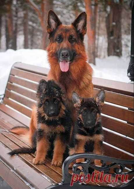 (21) Facebook