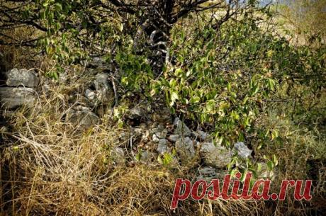 Квест “НАЙДИ КОТА”... 15 задачек, которые заставят Вас пораскинуть мозгами