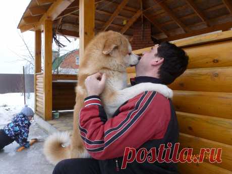 встреча любимого хозяина