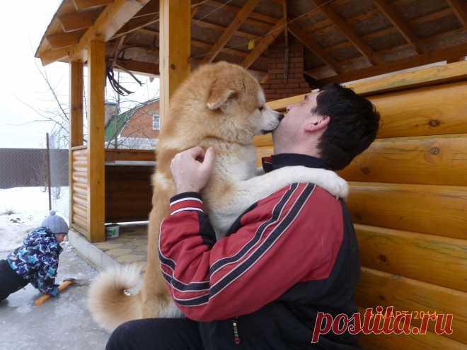 встреча любимого хозяина