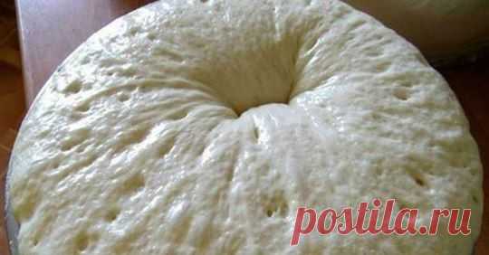 Наконец-то нашла хороший рецепт. Дрожжевое тесто за 15 минут! - Рецепты на любой вкус Храниться такое тесто в холодильнике пару суток и не перекисает, можно замораживать. Готовьте из это