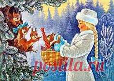 (2) Одноклассники