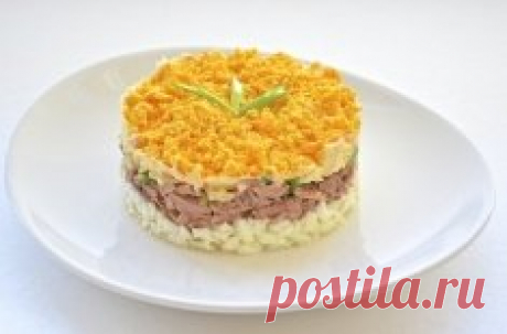 Салат Мимоза готовим вкусный салат по разным рецептам